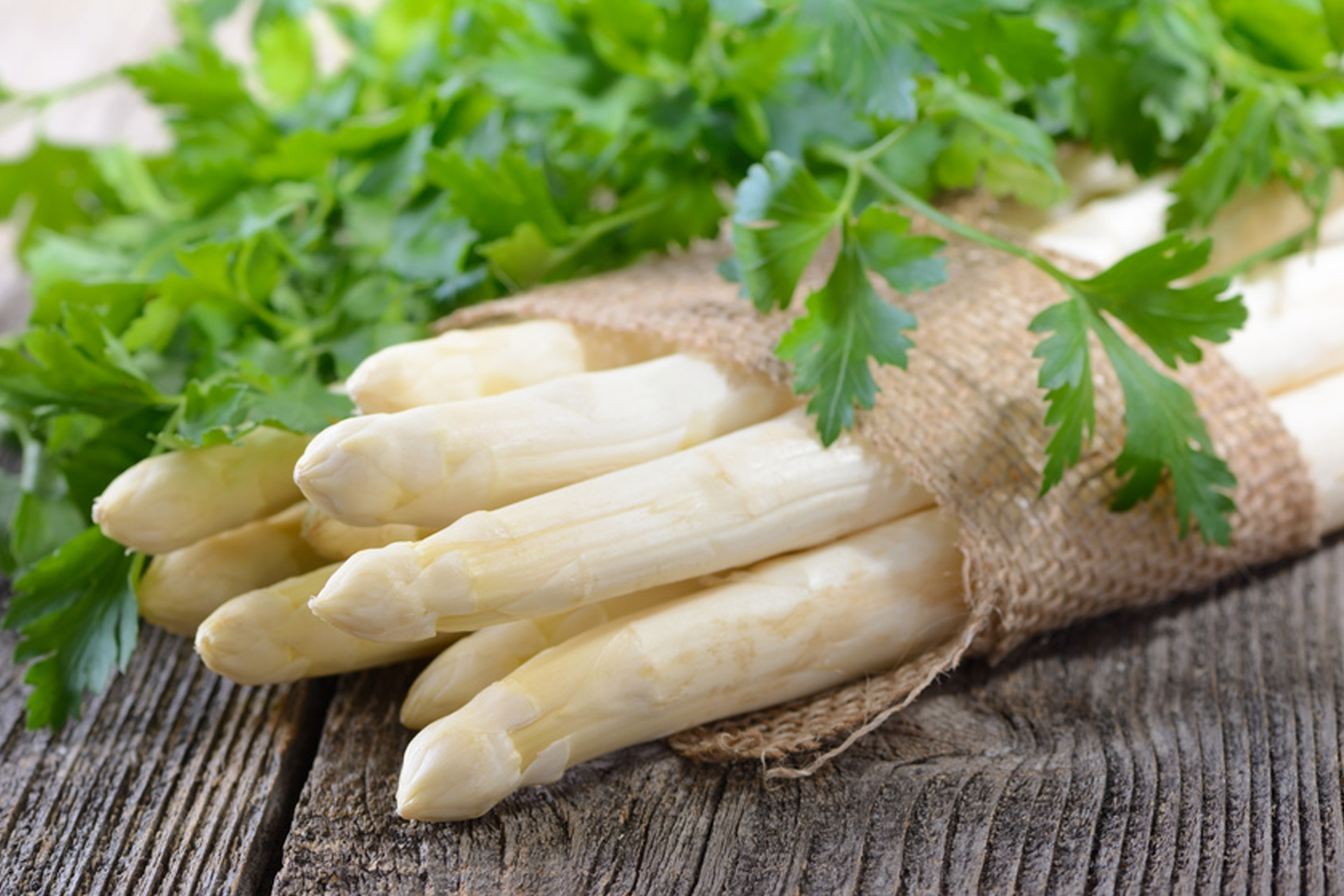 Weißer Spargel im Bund